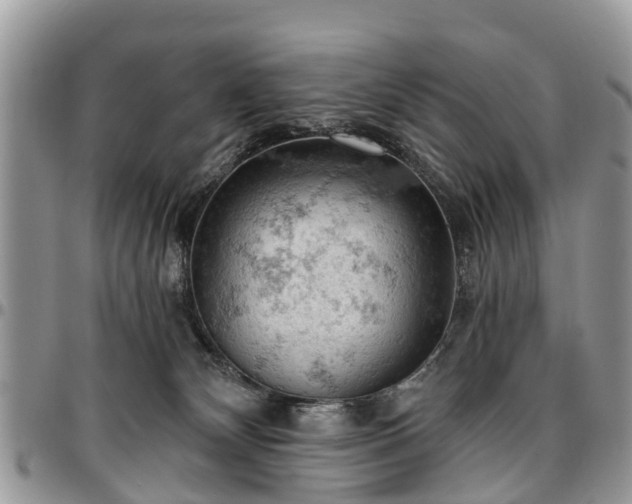 X0000096950132200802151246