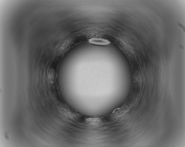 X0000096950133200802151246