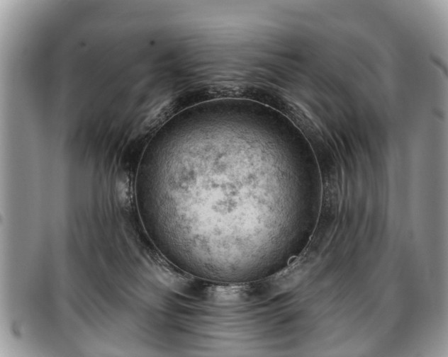X0000096950134200802151246