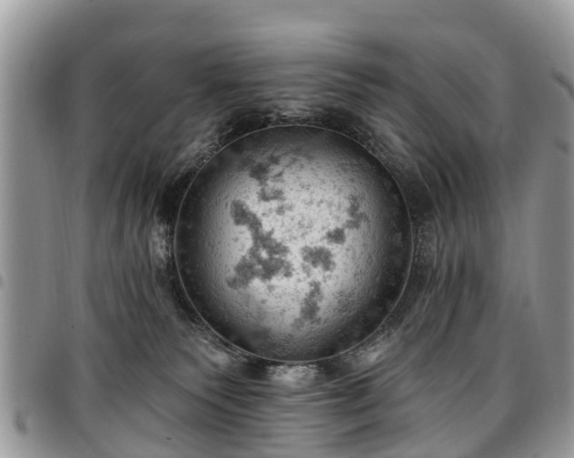 X0000096950135200802151246