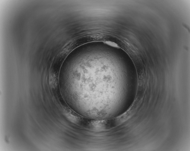 X0000096950136200802151246