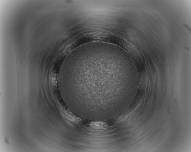 X0000096950137200802151246