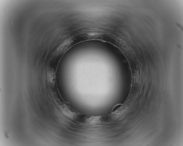 X0000096950138200802151246