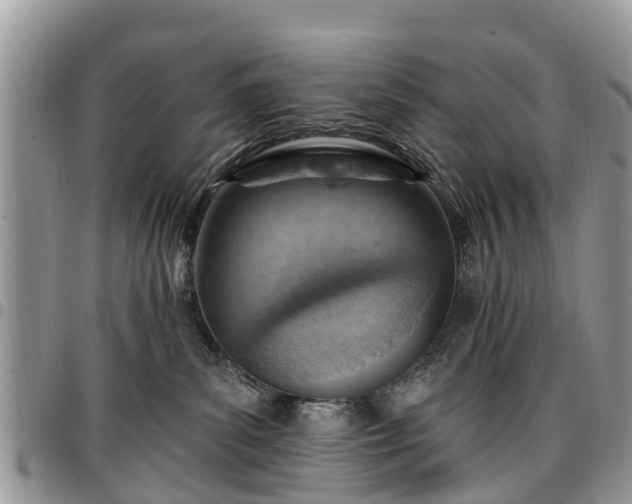 X0000096950139200802151246