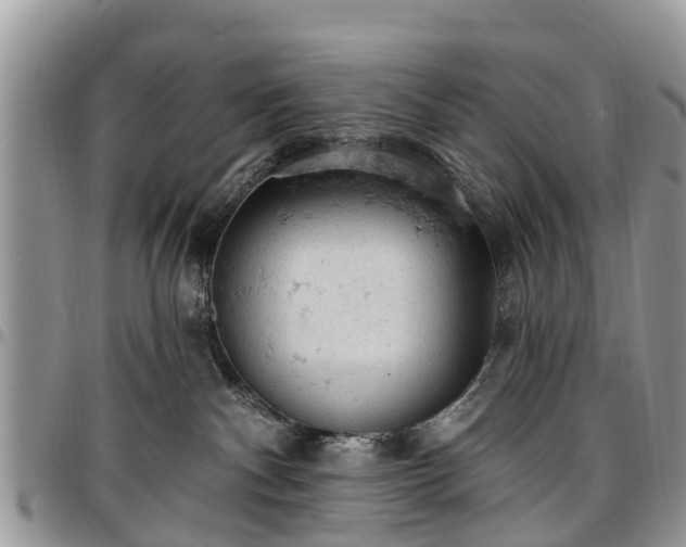 X0000096950140200802151246