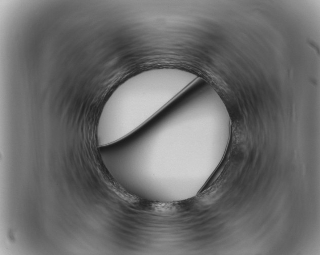 X0000096950141200802151246