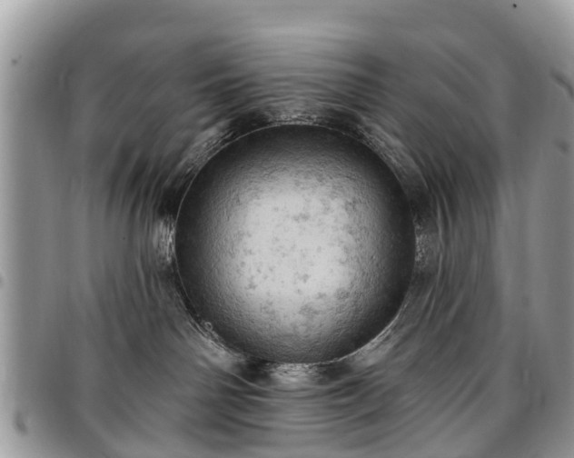 X0000096950142200802151246