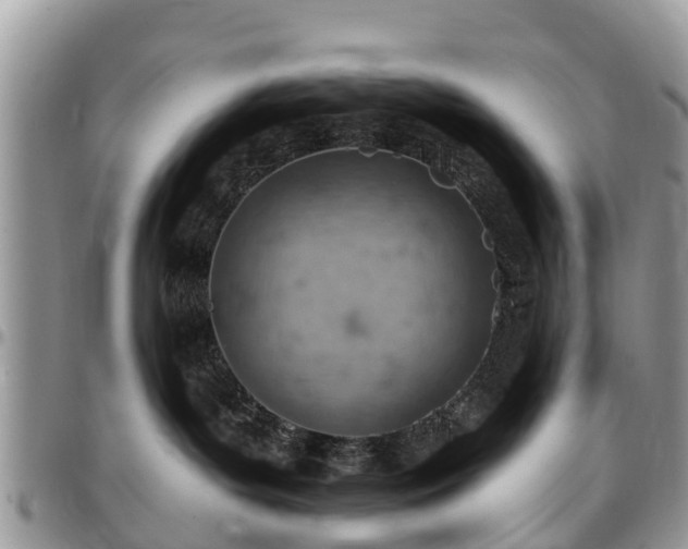X0000096950143200802151246