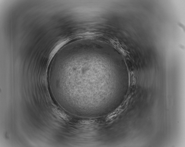 X0000096950147200802151245
