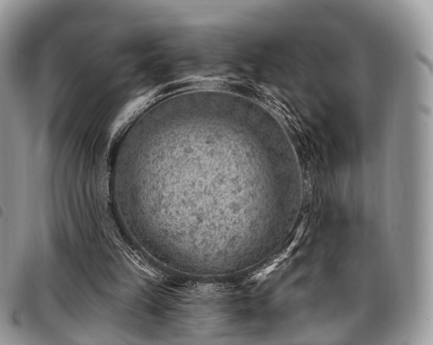 X0000096950149200802151245