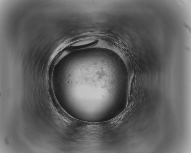 X0000096950150200802151245