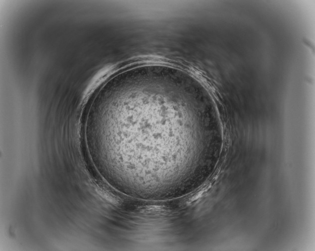 X0000096950151200802151245