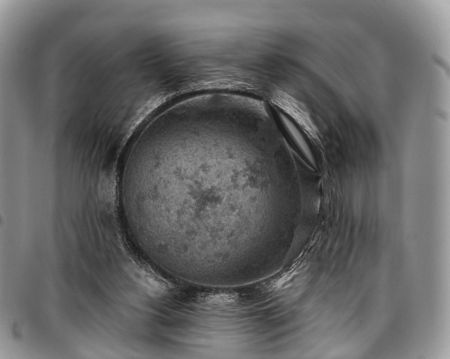 X0000096950156200802151245