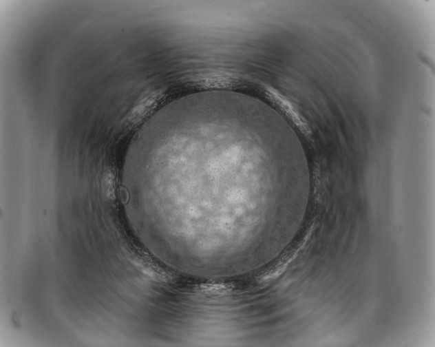 X0000096950161200802151245