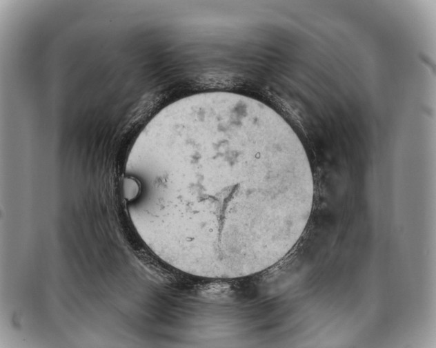X0000096950162200802151245