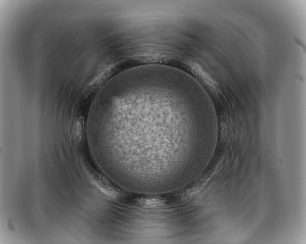 X0000096950165200802151246