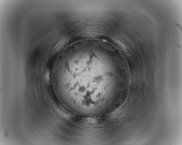 X0000096950166200802151246