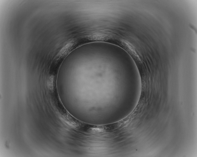X0000096950167200802151246