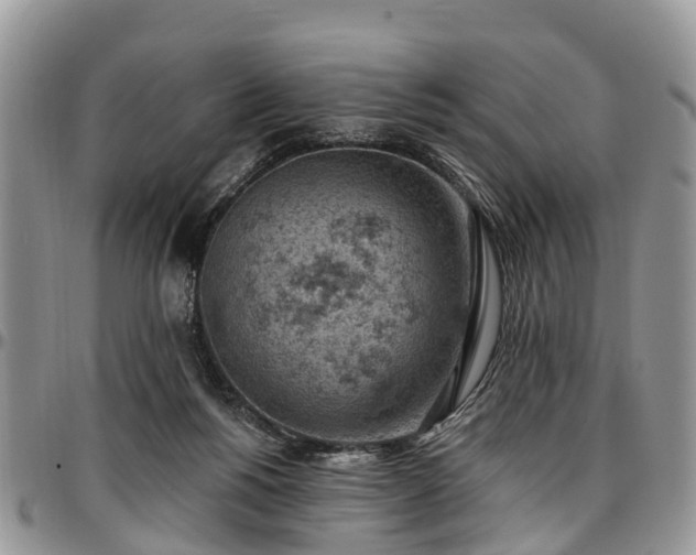 X0000096950168200802151246