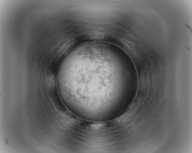 X0000096950172200802151246