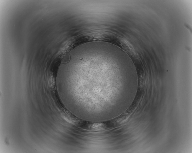 X0000096950173200802151246