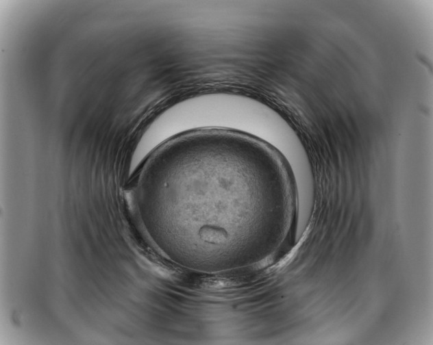 X0000096950174200802151246
