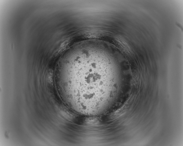 X0000096950175200802151246