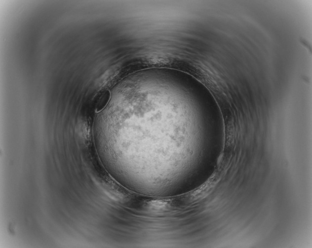 X0000096950176200802151246