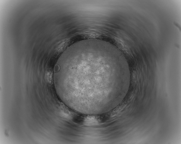 X0000096950177200802151246