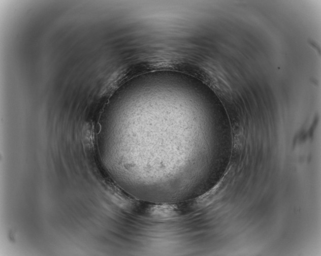 X0000096950179200802151246