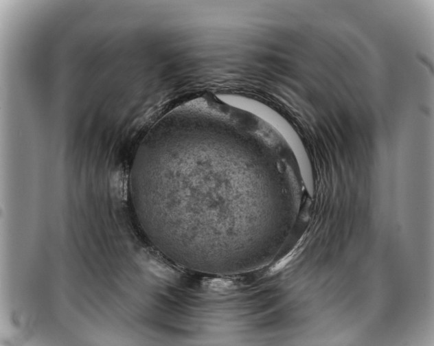 X0000096950180200802151246