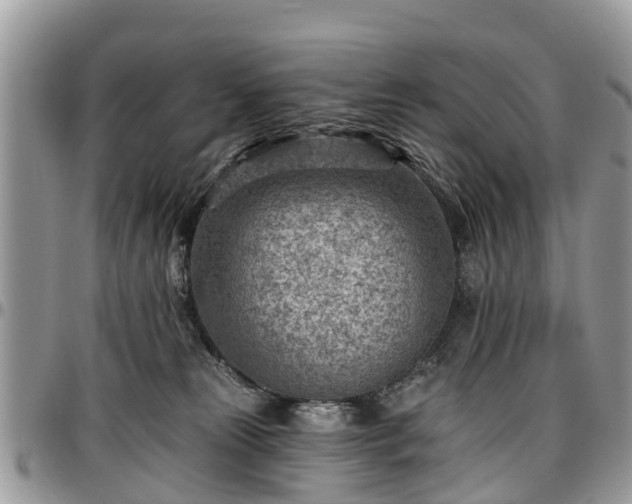 X0000096950181200802151246