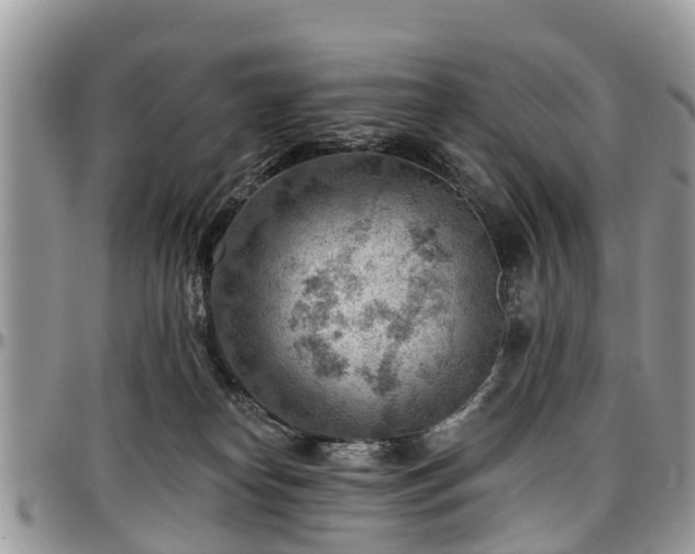 X0000096950182200802151246