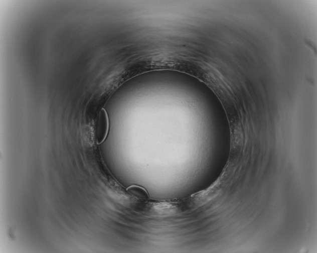 X0000096950183200802151246