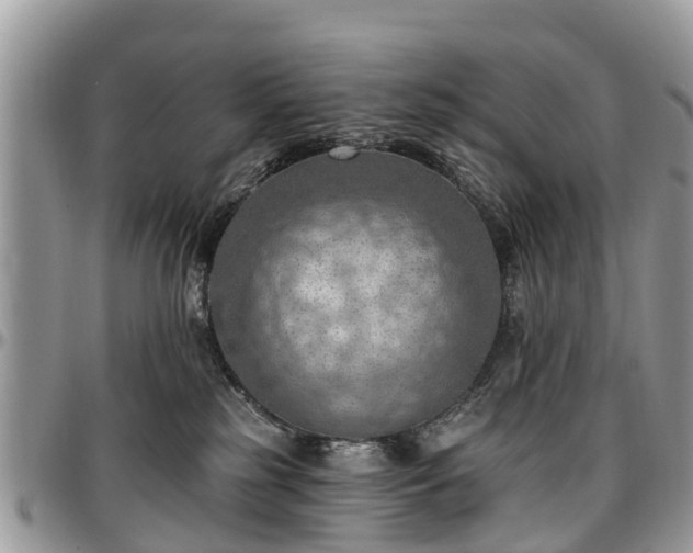 X0000096950185200802151246