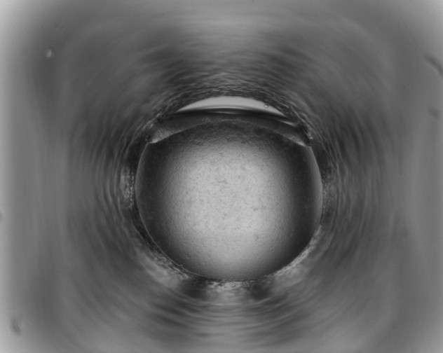 X0000096950186200802151246