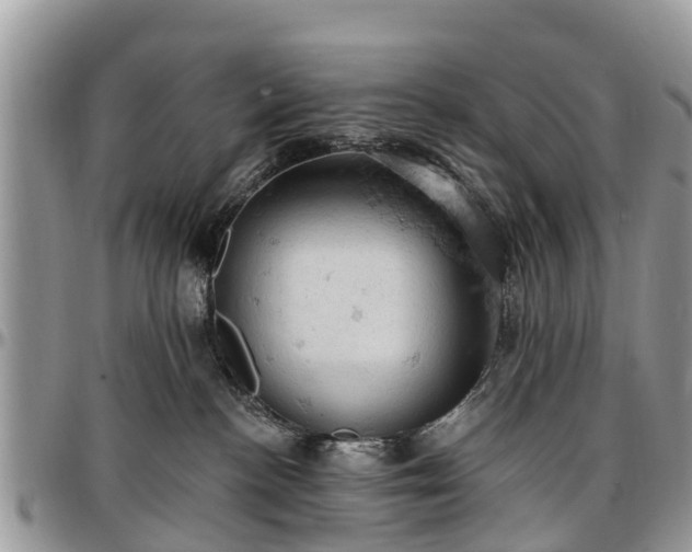 X0000096950188200802151246
