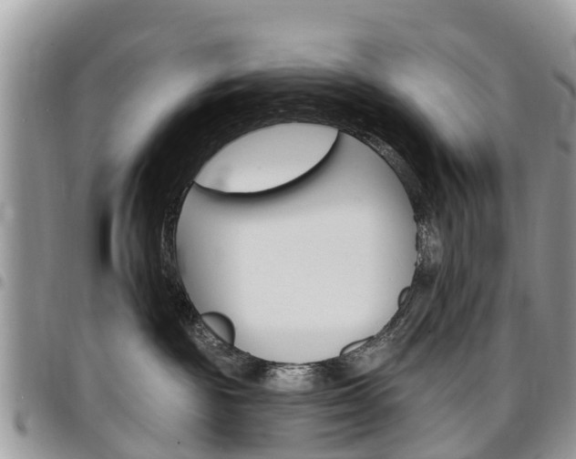 X0000096950189200802151246
