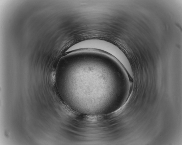 X0000096950190200802151246