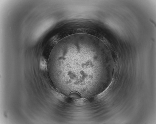 X0000096950191200802151246