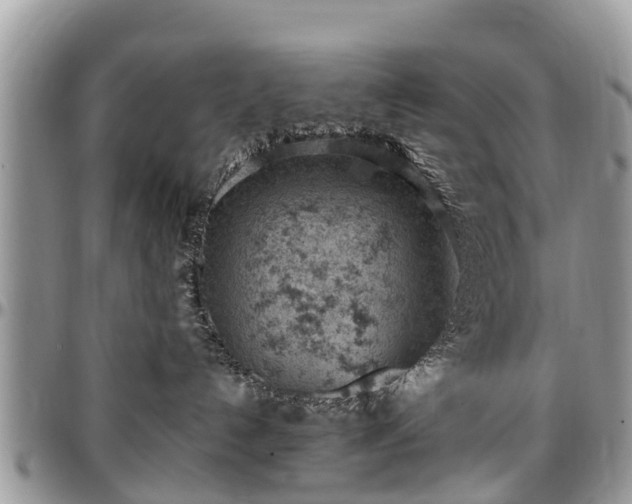 X0000096950192200802151246