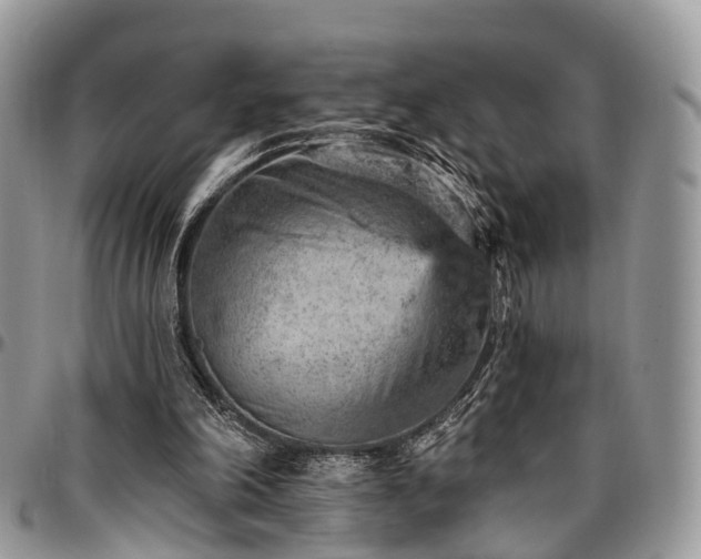 X0000096950198200802151245