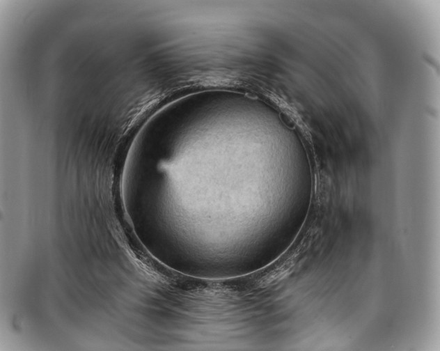 X0000096950201200802151245