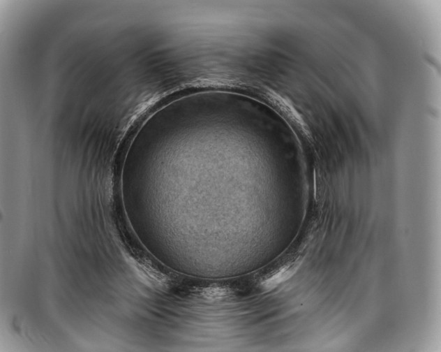 X0000096950204200802151245