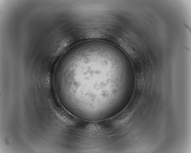 X0000096950207200802151245