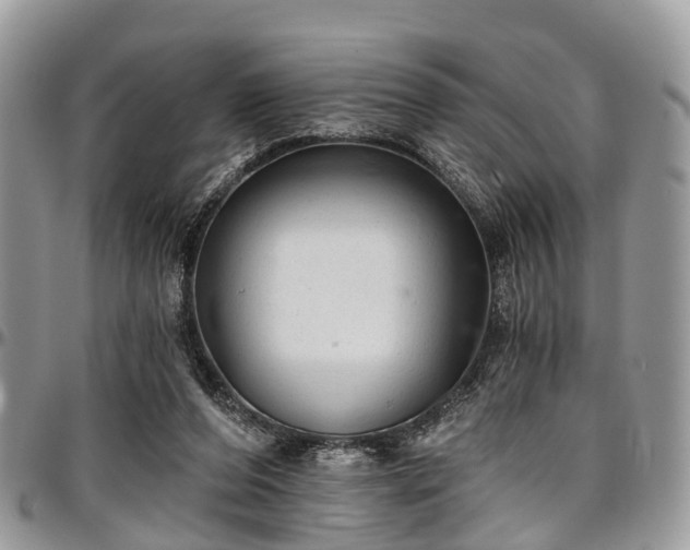 X0000096950208200802151245