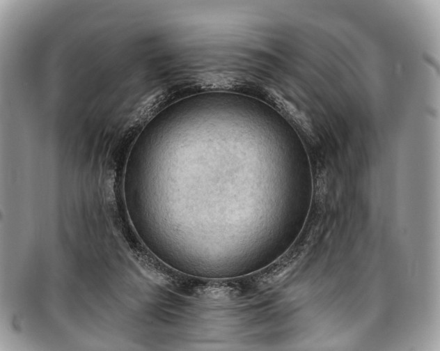 X0000096950209200802151245