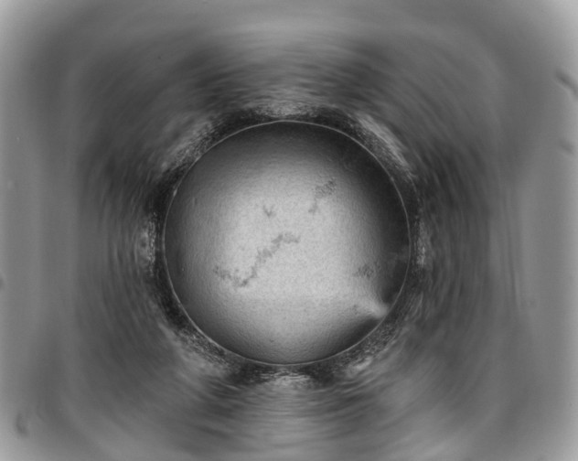 X0000096950210200802151245