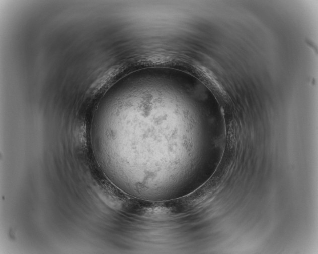 X0000096950212200802151245