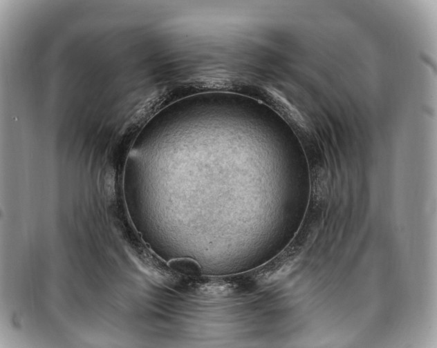 X0000096950213200802151245